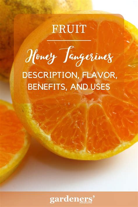 autumn honey tangerine|honey tangerines benefits.